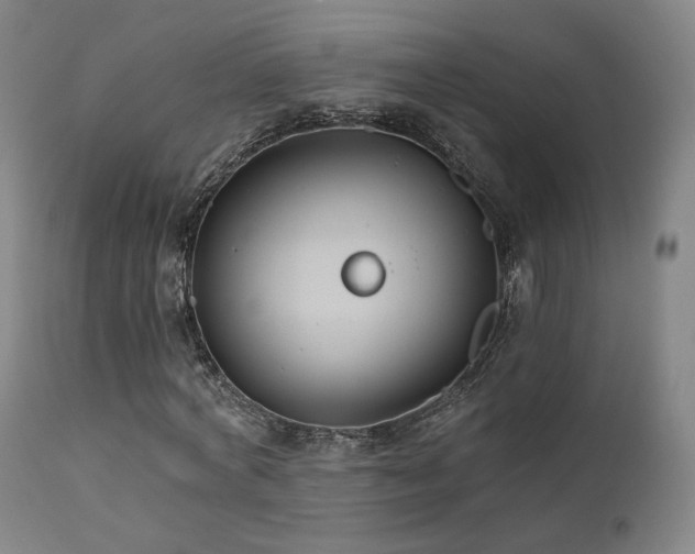 X0000111510772200907141335