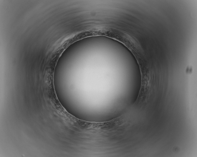 X0000111510773200907141335