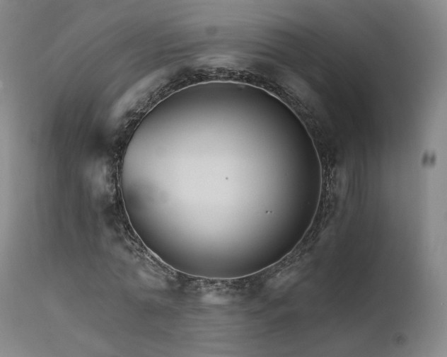 X0000111510774200907141335