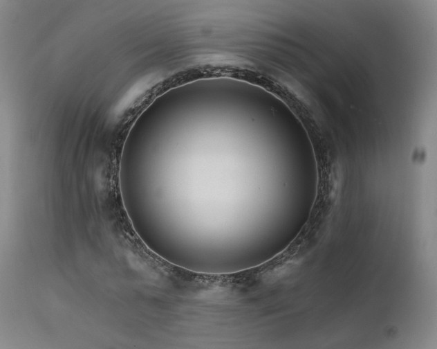 X0000111510775200907141335