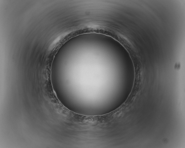 X0000111510776200907141335