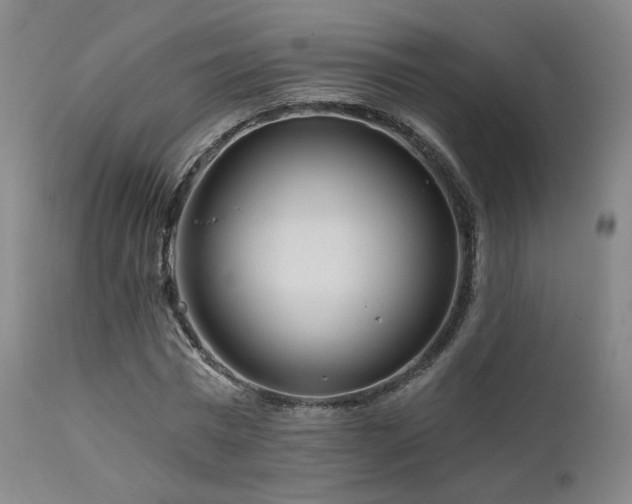 X0000111510777200907141335