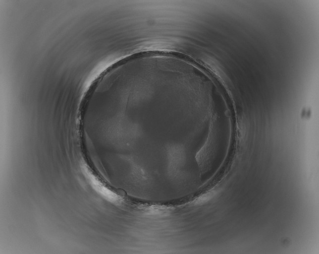 X0000111510779200907141335