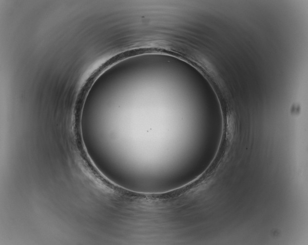 X0000111510780200907141335