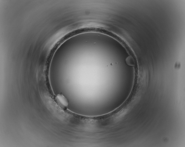 X0000111510783200907141335