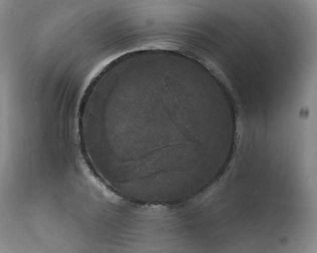 X0000111510784200907141335