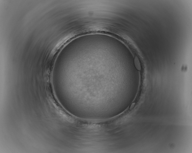 X0000111510785200907141335