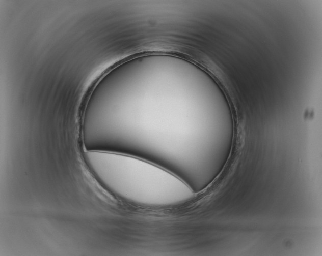 X0000111510787200907141335