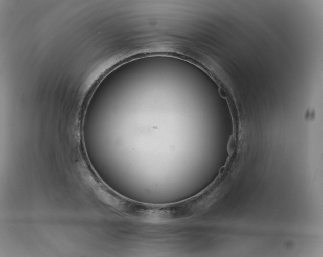 X0000111510789200907141335