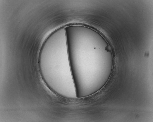 X0000111510791200907141335
