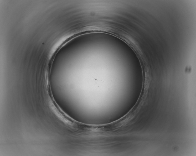 X0000111510796200907141335