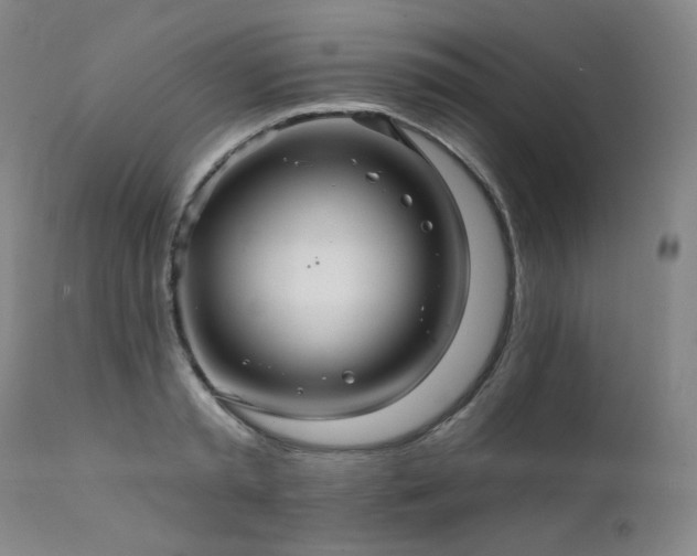 X0000111510797200907141335