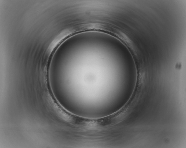 X0000111510798200907141335