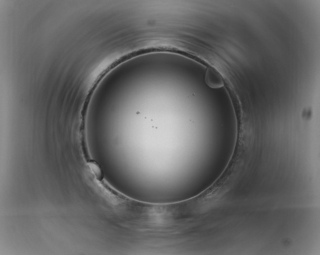X0000111510799200907141335