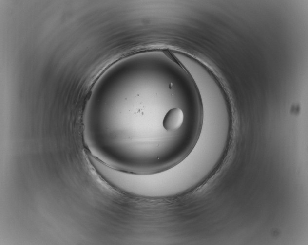 X0000111510801200907141335