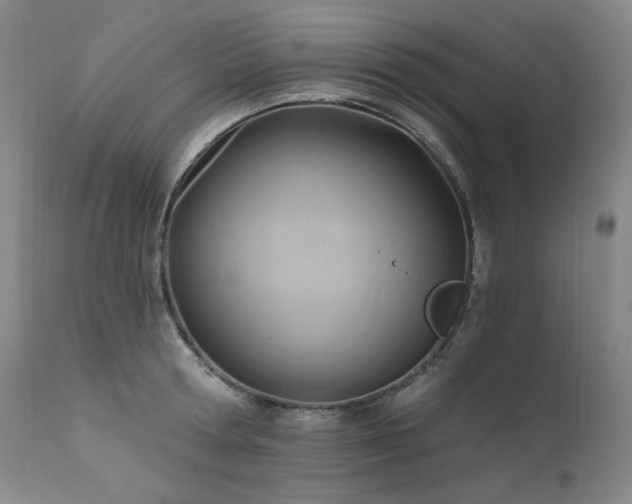X0000111510802200907141335
