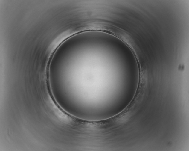 X0000111510803200907141335