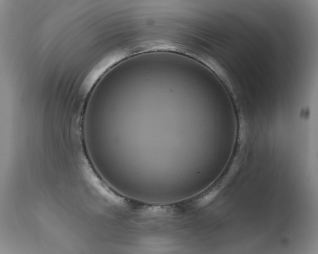 X0000111510806200907141335