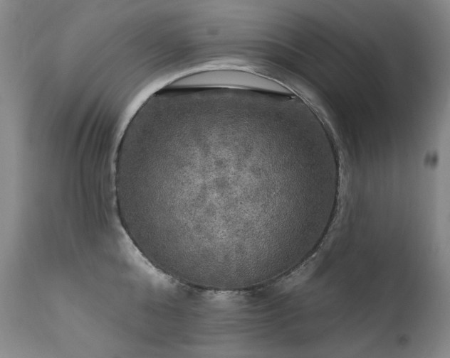 X0000111510808200907141335