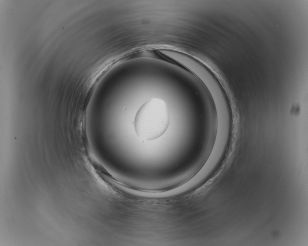 X0000111510809200907141335