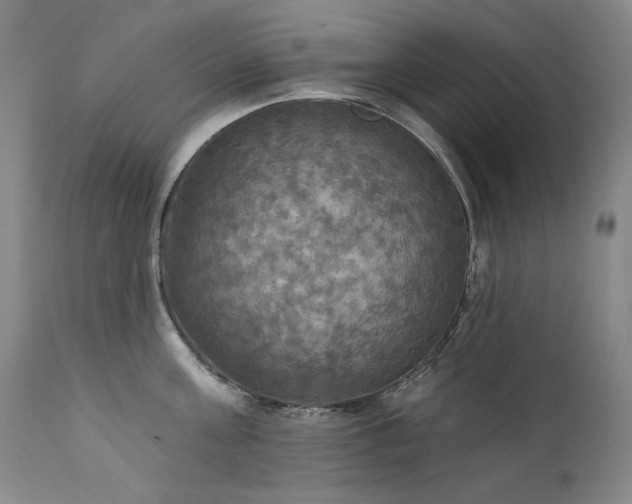 X0000111510811200907141335