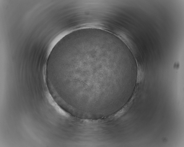 X0000111510812200907141334