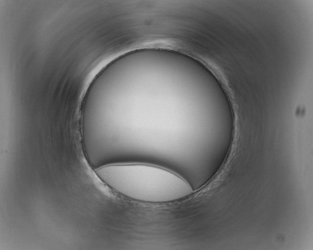 X0000111510816200907141334