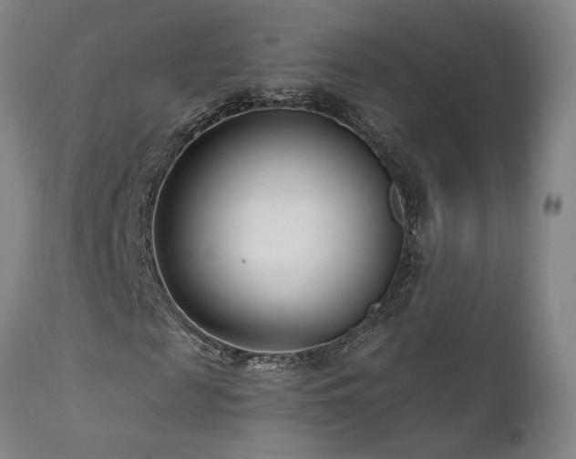 X0000111510817200907141333