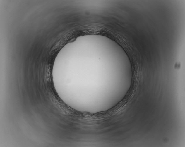 X0000111510818200907141333