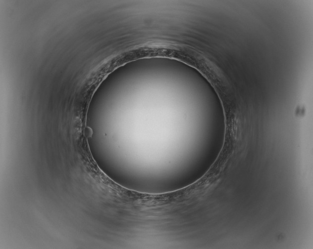 X0000111510821200907141333