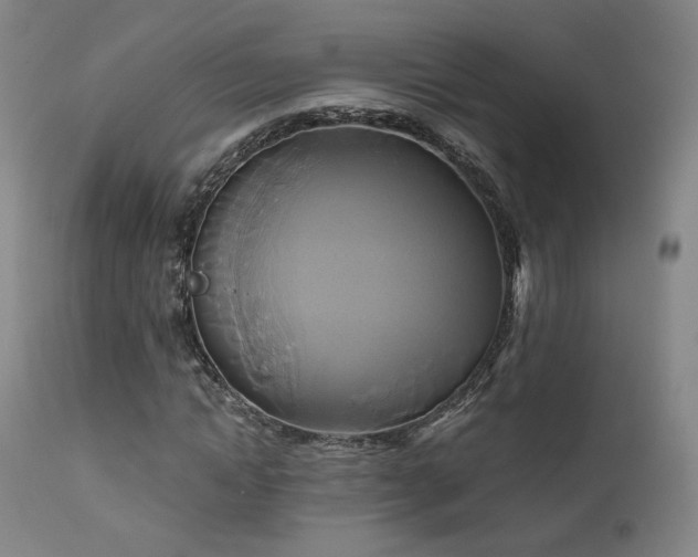 X0000111510822200907141334