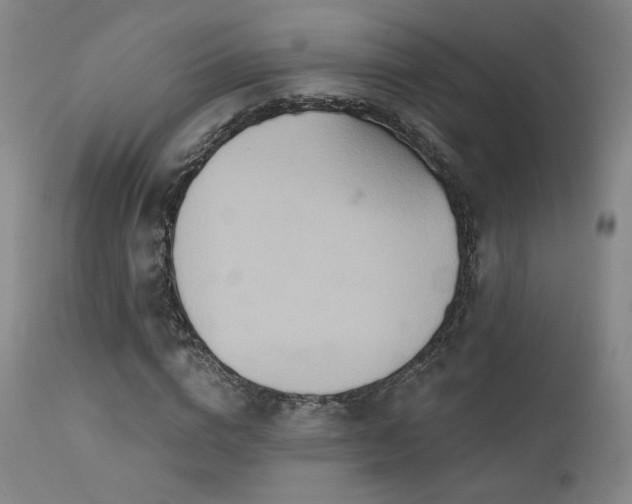 X0000111510824200907141334