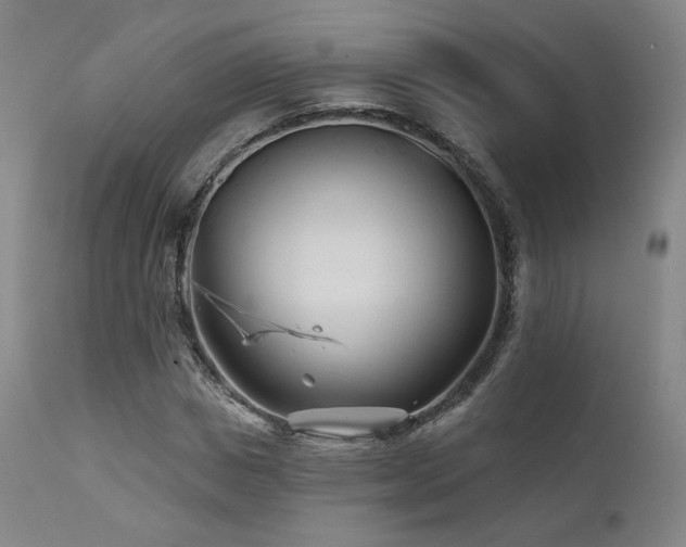 X0000111510825200907141334