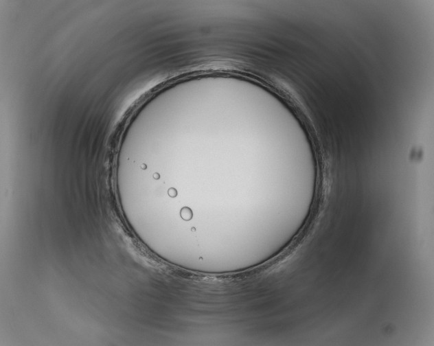 X0000111510827200907141334