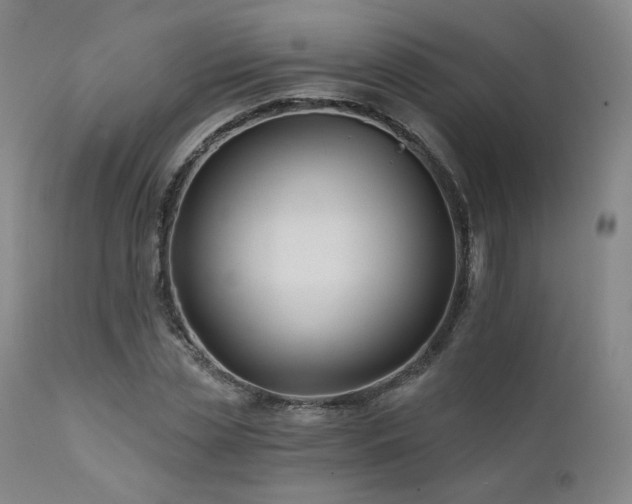 X0000111510829200907141334