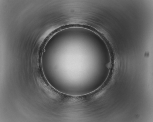 X0000111510830200907141334