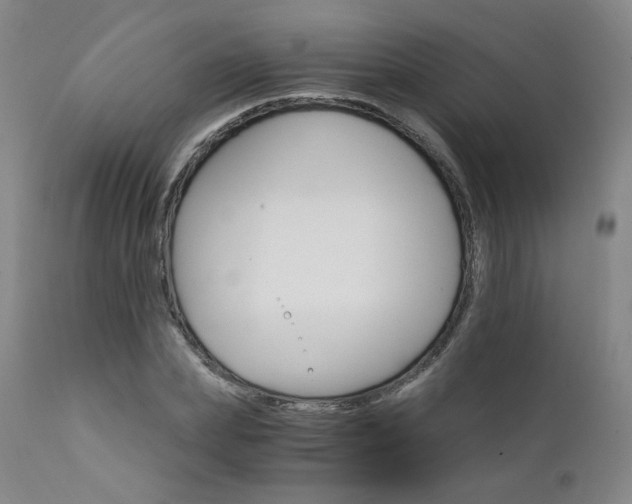 X0000111510831200907141334