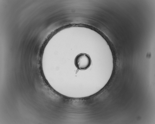 X0000111510832200907141334
