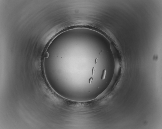 X0000111510834200907141334