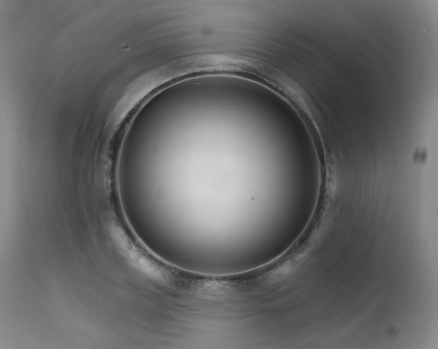 X0000111510835200907141334