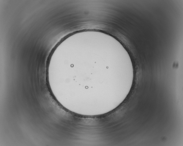 X0000111510836200907141334