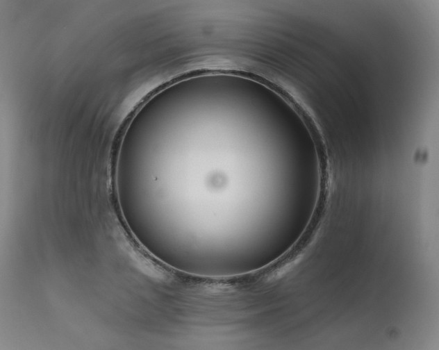 X0000111510837200907141334