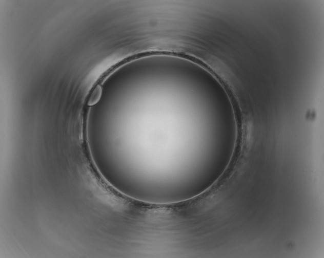 X0000111510838200907141334