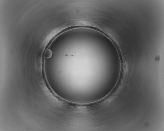 X0000111510839200907141334