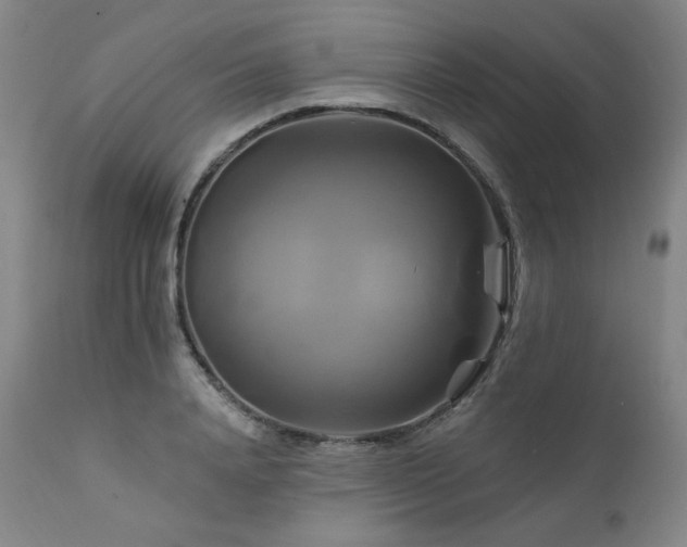 X0000111510840200907141334