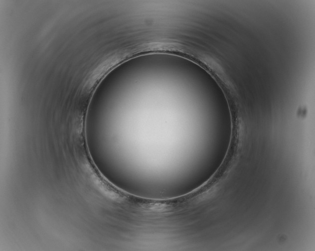 X0000111510841200907141334