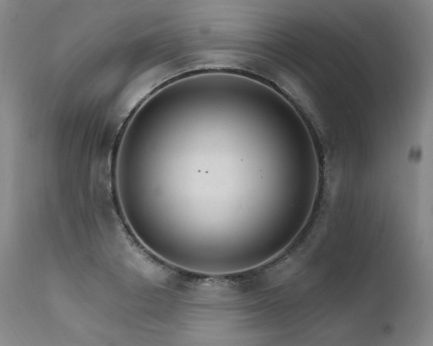 X0000111510842200907141334