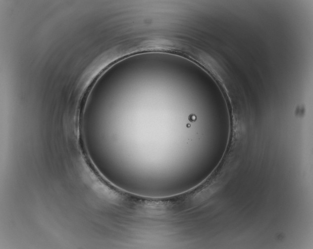 X0000111510843200907141334