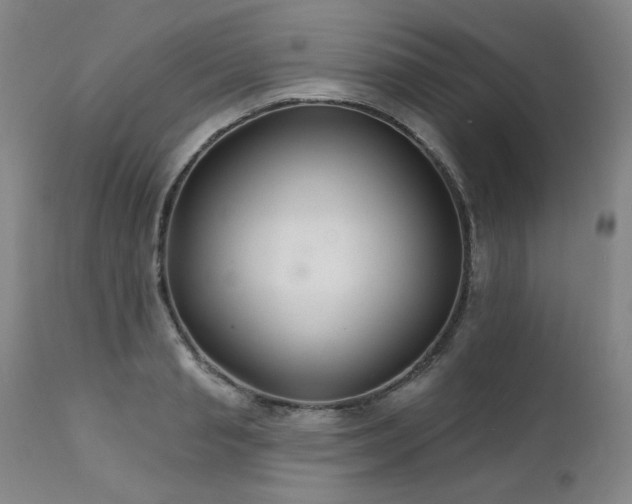 X0000111510845200907141334