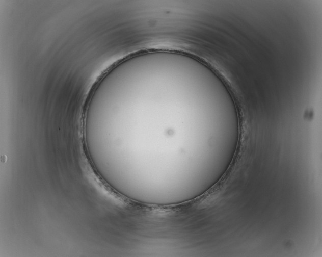 X0000111510848200907141334